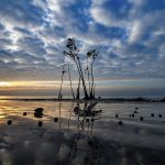 Jamtola Sea Beach in Sundarban